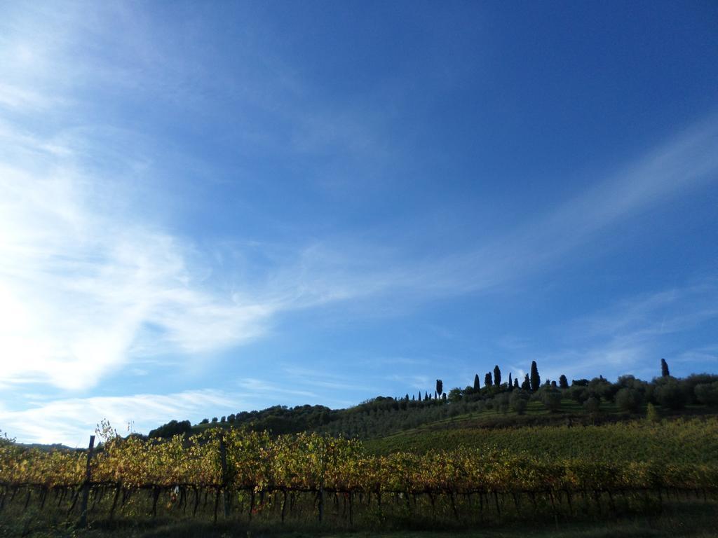 Tenuta Villa Rocchi Torrita di Siena Eksteriør billede