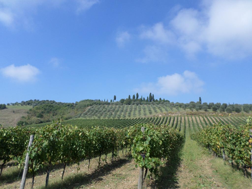 Tenuta Villa Rocchi Torrita di Siena Eksteriør billede