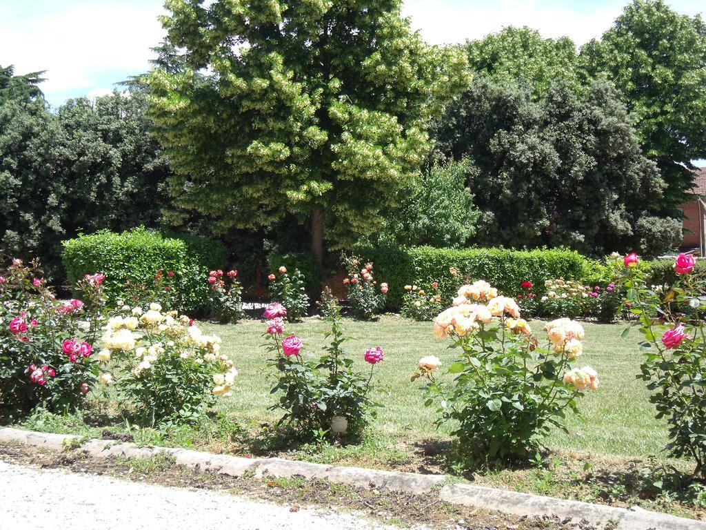 Tenuta Villa Rocchi Torrita di Siena Eksteriør billede